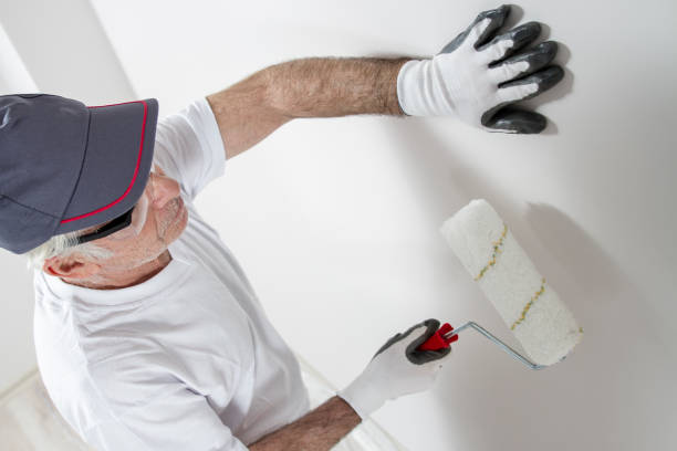 Best Post-Construction Mold Inspection  in Shrewsbury, MO