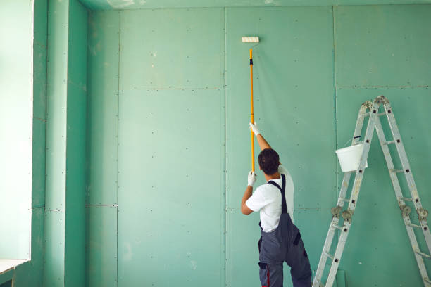 Best Mold Prevention Services  in Shrewsbury, MO