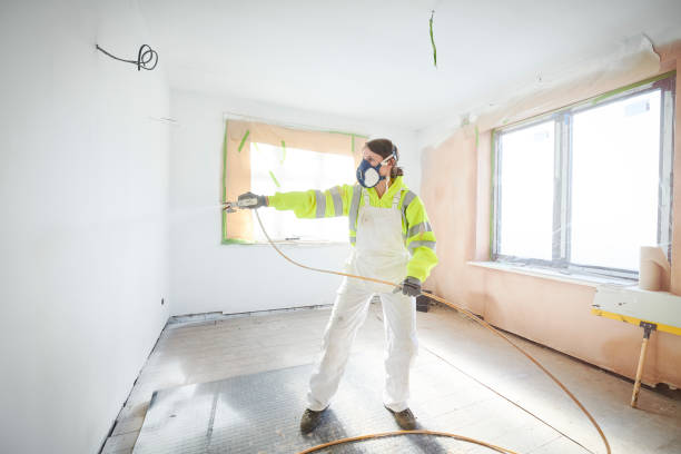 Best Mold Damage Restoration  in Shrewsbury, MO